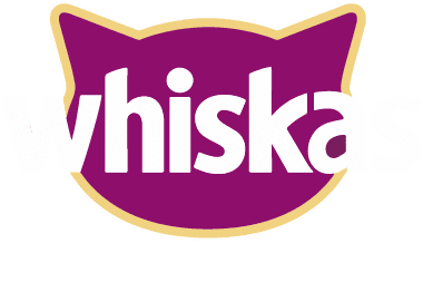 whiskas-bull-marketing-agencia-publicidad-btl
